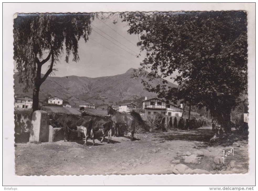 CPM PHOTO DPT 64 SARE , LA RHUNE, VUE DU QUARTIER LEHENBISCAYE - Sare