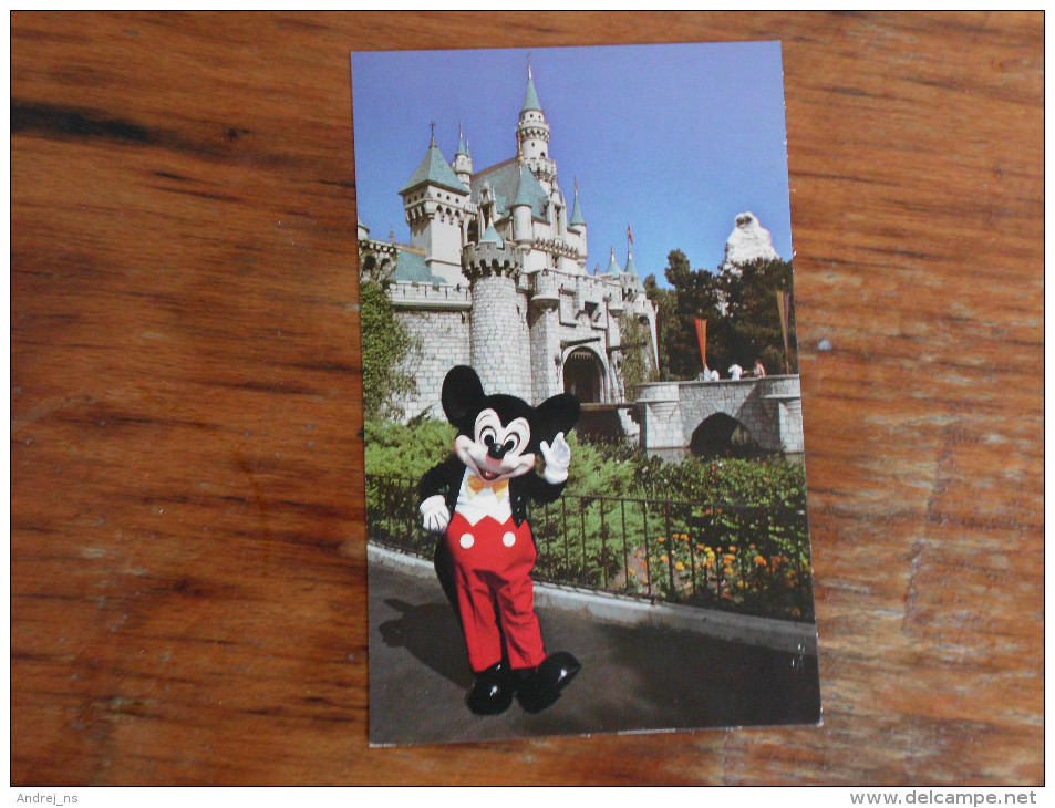 Disneyland Mickey Mouse - Disneyland