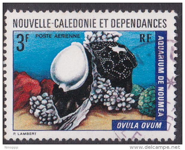 New Caledonia SG 521 1973 Marine Fauna,3 F Common Egg Cowrie, Used - Oblitérés