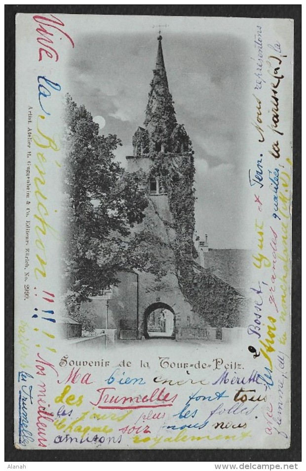 LA TOUR De PEILZ Rare Bleutée Souvenir 1899 (Guggenheim) Suisse VD - La Tour-de-Peilz