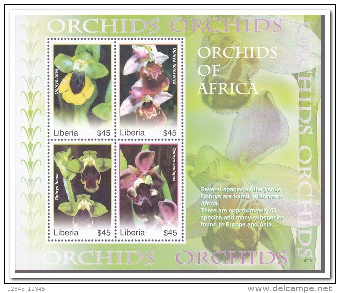 Liberia 2007, Postfris MNH, Flowers, Orchids - Liberia
