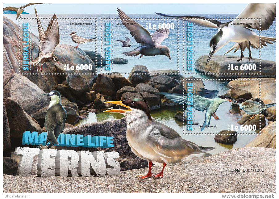 SIERRA LEONE 2016 ** Terns Seeschwalben M/S - OFFICIAL ISSUE - A1620 - Hirondelles