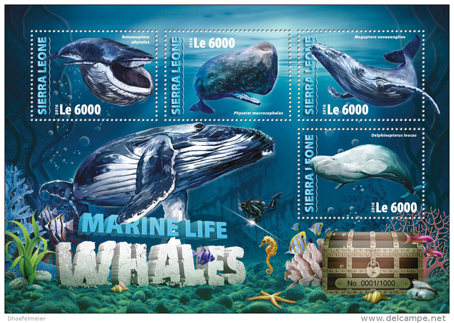 SIERRA LEONE 2016 ** Diving Tauchen Whales M/S - OFFICIAL ISSUE - A1620 - Plongée