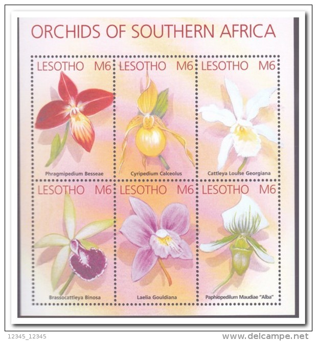 Lesotho 2002, Postfris MNH, Flowers, Orchids - Lesotho (1966-...)