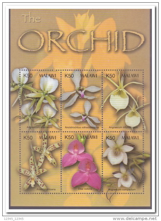 Malawi 2003, Postfris MNH, Flowers, Orchids - Malawi (1964-...)