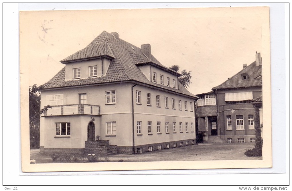 2844 LEMFÖRDE, Ortspartie, Photo-AK 1951 - Diepholz