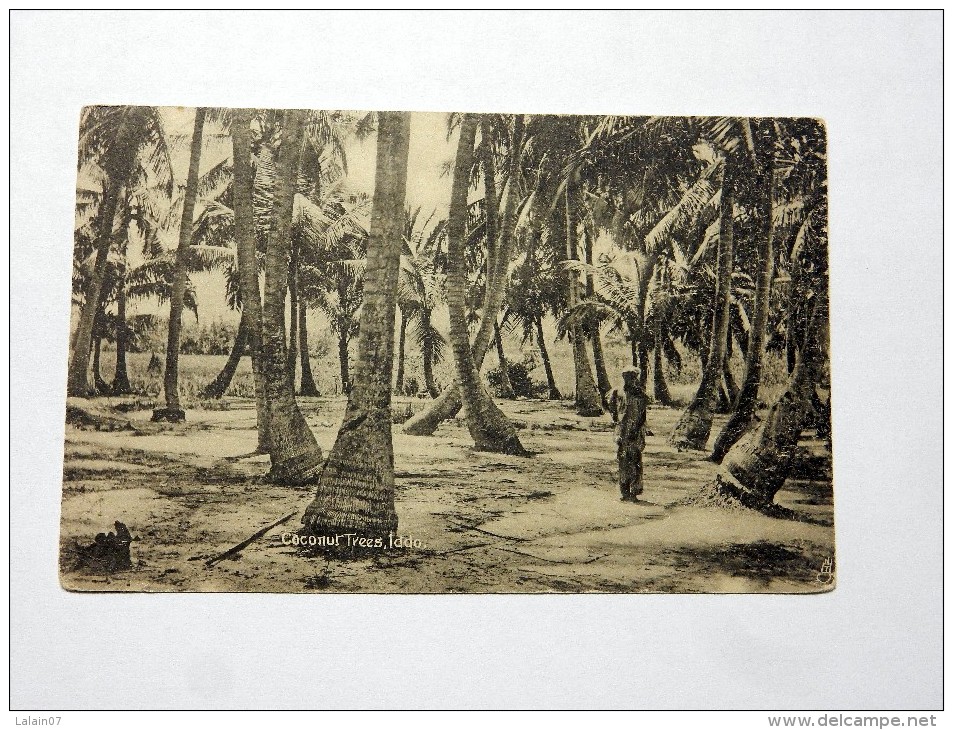 Carte Postale Ancienne : NIGERIA : Coconut Trees, IDDO - Nigeria