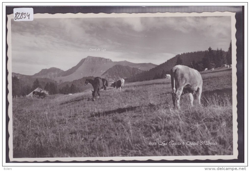 AUX PACCOTS - VACHES - TB - Autres & Non Classés