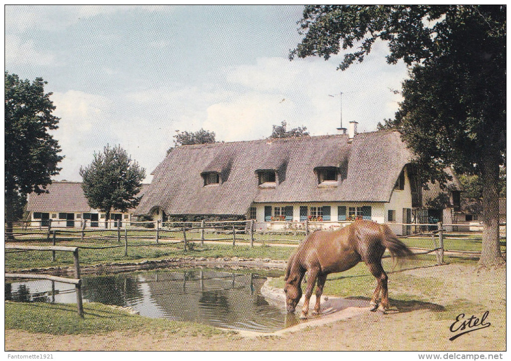 SOUVIGNY  CHEVAL A L'ABREUVOIR (dil235) - Ile-de-France