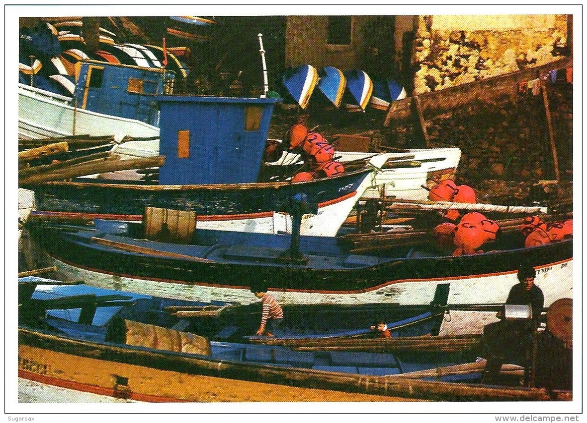 Câmara De Lobos * Barcos De Pesca - Série A - InteiroPostal Stationery Card - Madeira - Válido Portugal E Espanha - Entiers Postaux