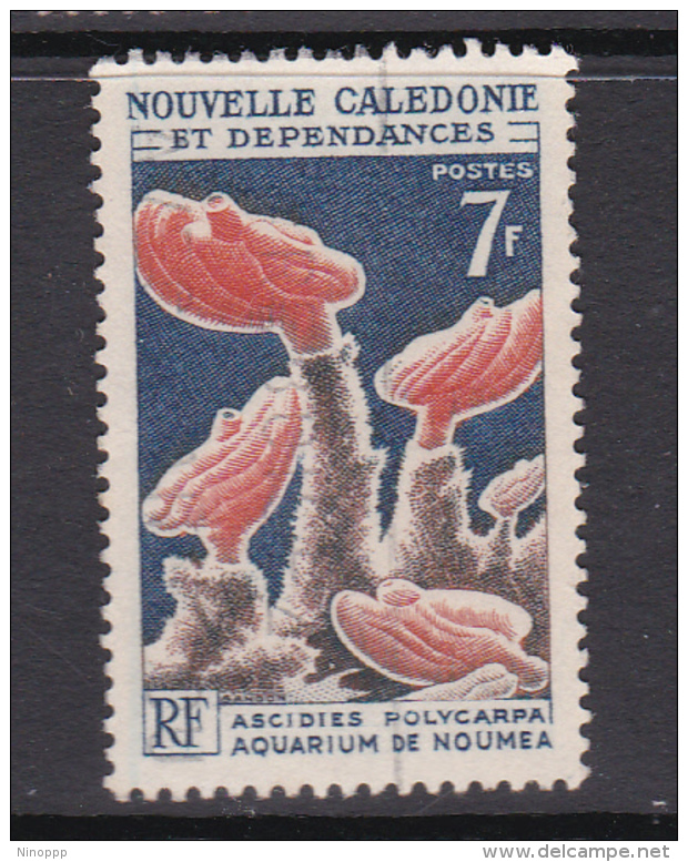 New Caledonia SG 383 1964 Corals And Marine Animals 7F Ascidies Polycarpa,used - Gebruikt