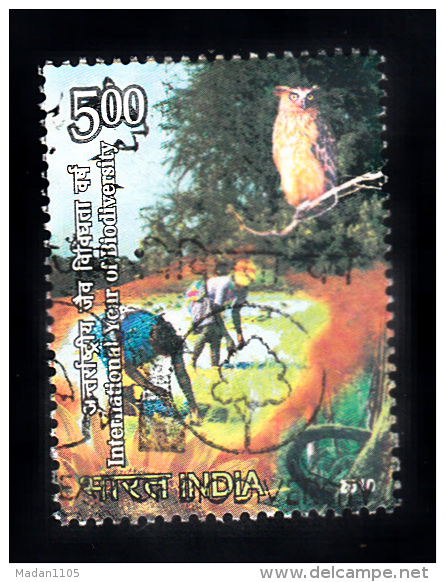 INDIA, 2010, FINE USED,First Day Cancelled, International Year Of Biodiversity,  Nature, Bird, Owl, 1 V - Oblitérés