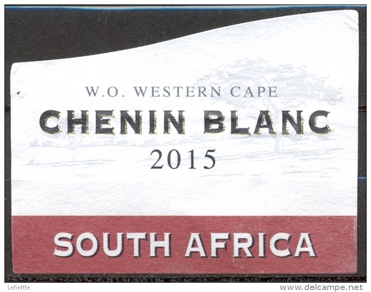 813 - Chenin Blanc Western Cape - 2015 - Cimarosa - Vin Blanc Afrique Du Sud - Vineris - 6 étiquettes Pour 1 Bouteille - Blancs