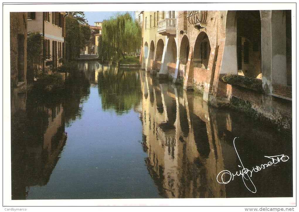 *ITALIA  - VENETO: TREVISO* - Treviso