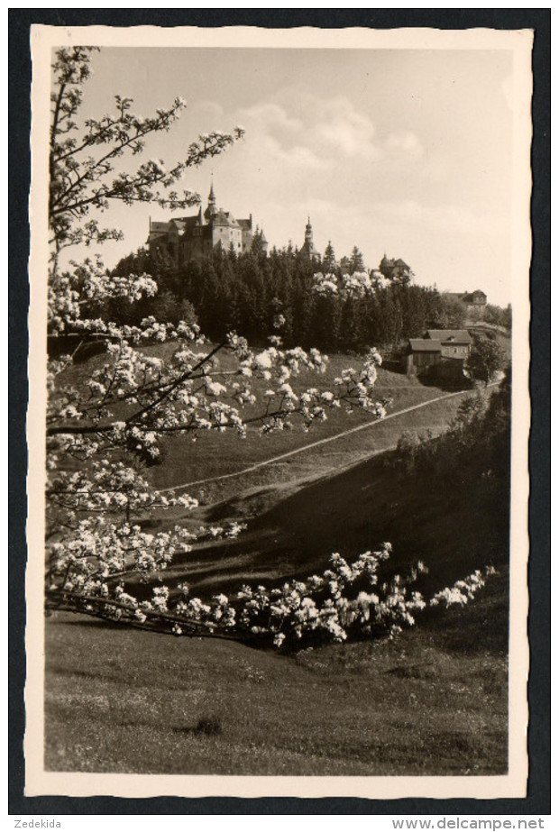 2768 - Alte Foto Ansichtskarte - Burg Lauenstein Oberfranken N. Gel. TOP - Kronach