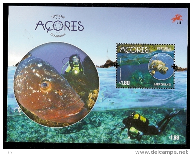 Portugal ** & Azores, Diving 2016 - Immersione