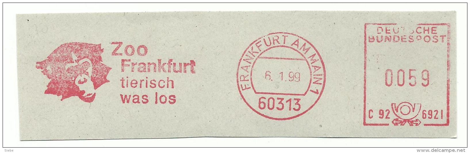 3 EMA Zoo De Frankfort Singes + Entier Autrichien (D It)  De 1894 Avec Cachet Zoologische Station In Triest - Vide