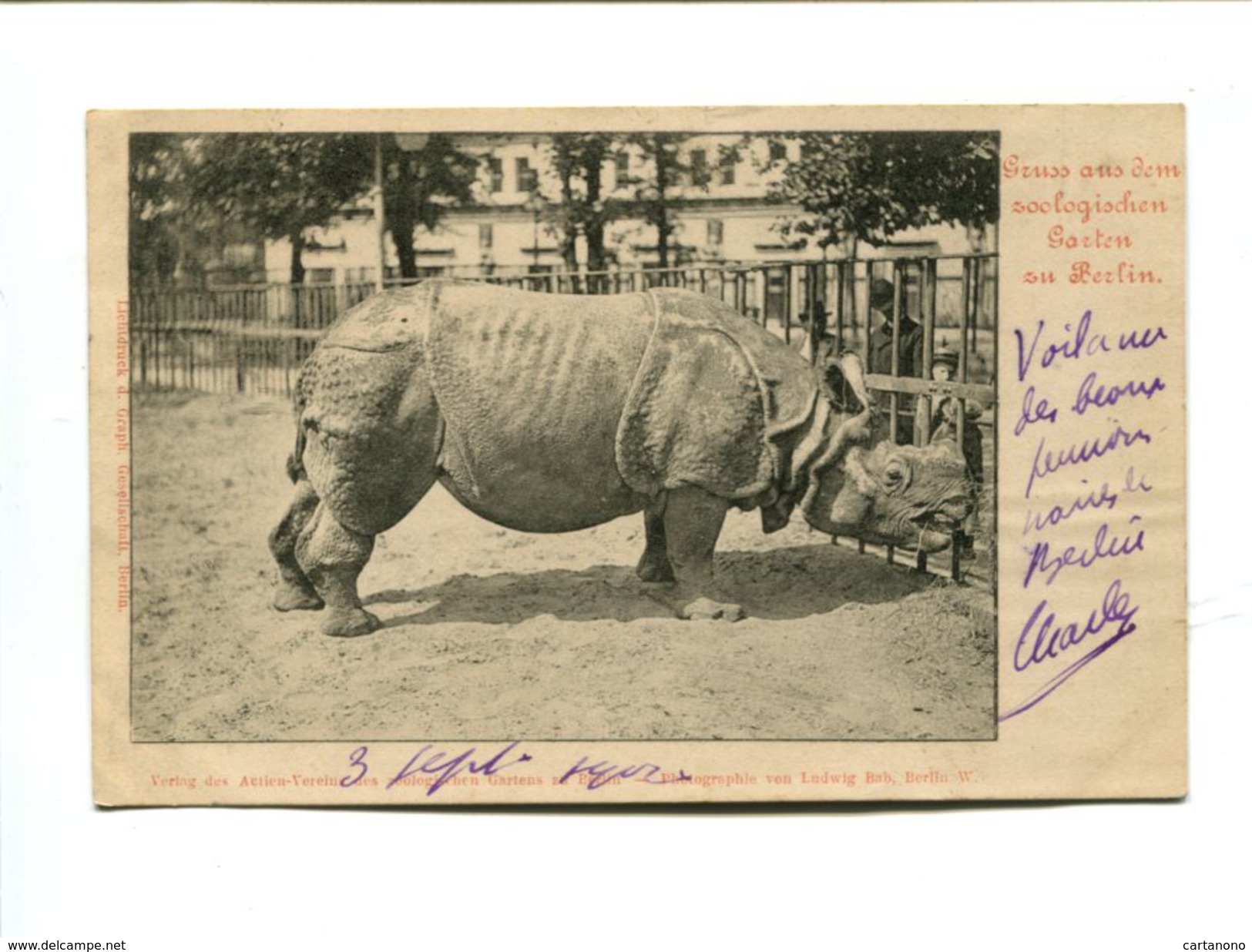 Cp - RHINOCEROS - Jardin Zoologique De Berlin - Rhinocéros