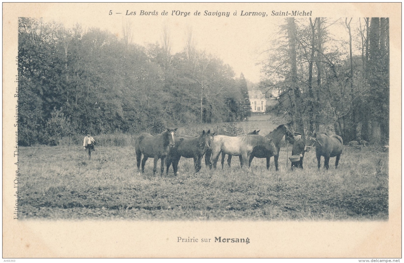 CPA 91 Prairie Près De MORSANG SUR ORGE - Morsang Sur Orge