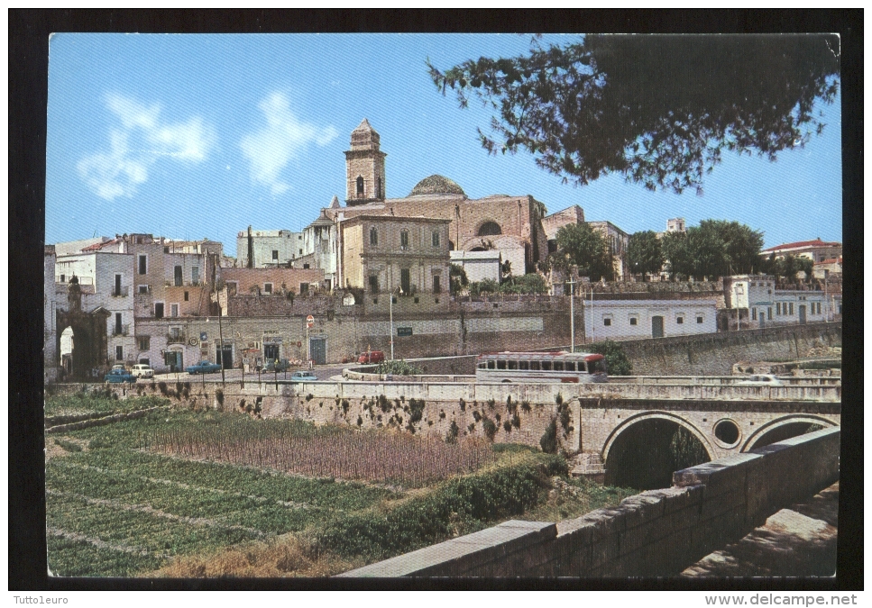 BITONTO - BARI - PANORAMA - Bitonto