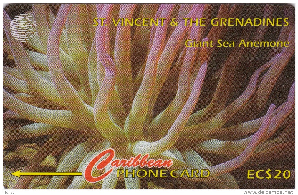 St. Vincent & The Grenadines, STV-142C, Sea Anemone,  2 Scans. - Saint-Vincent-et-les-Grenadines