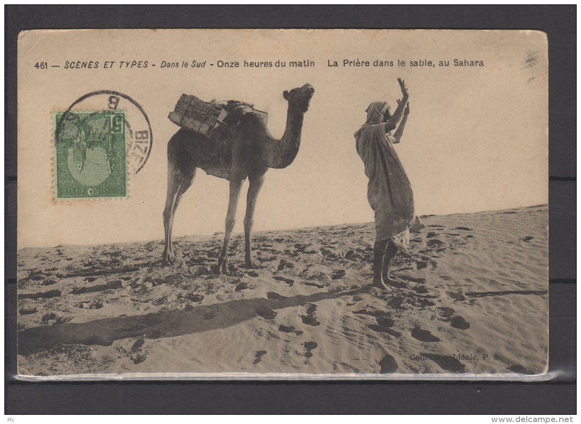 Tunisie - N° 31 Obli/sur Carte " Prière Dans Le Sable "  - Cachet Ambulant " Bizerte A Tunis " - 1911 - Storia Postale