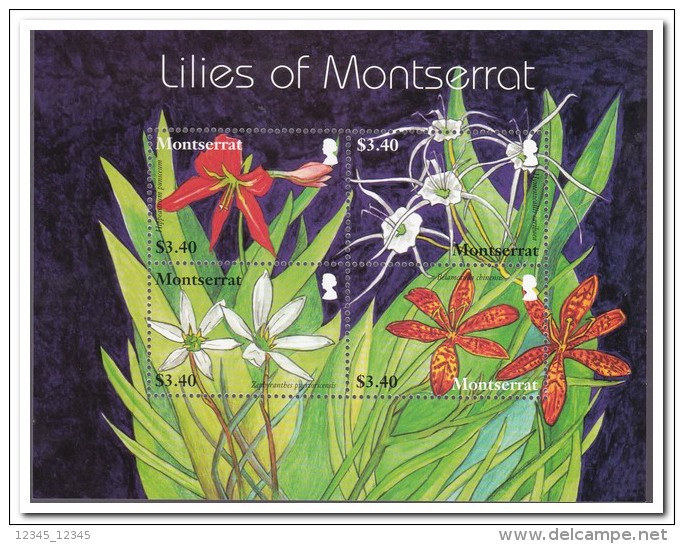 Montserrat 2007, Postfris MNH, Flowers - Montserrat