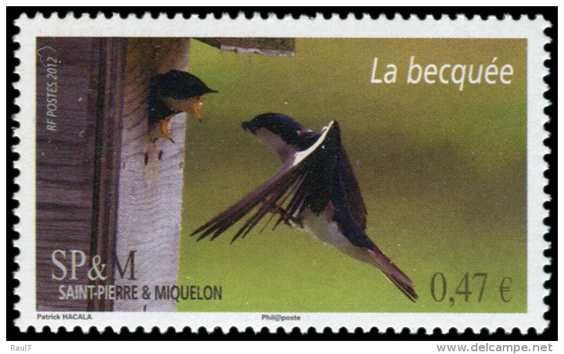 St Pierre Et Miquelon 2012 - Faune, Oiseau, La Becquée   - 1val Neufs // Mnh - Ungebraucht