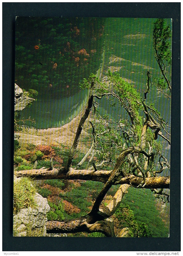 POLAND  -  Pieniny  Przetom Dunajca  Unused Postcard - Poland