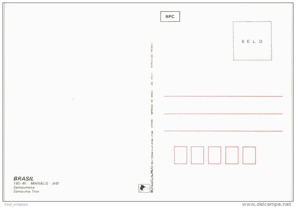 Amérique - Brésil - Brasil - Manaus - Samauma Tree - Manaus