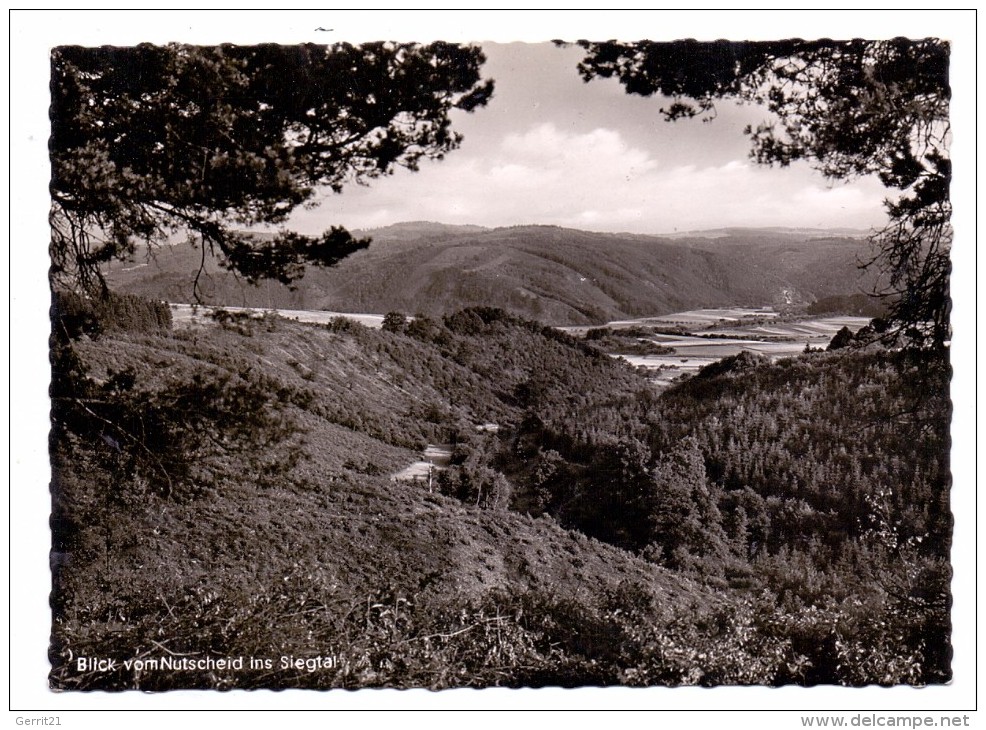 5220 WALDBRÖL, Blick Vom Nutscheid Ins Siegtal, 1957 - Waldbroel