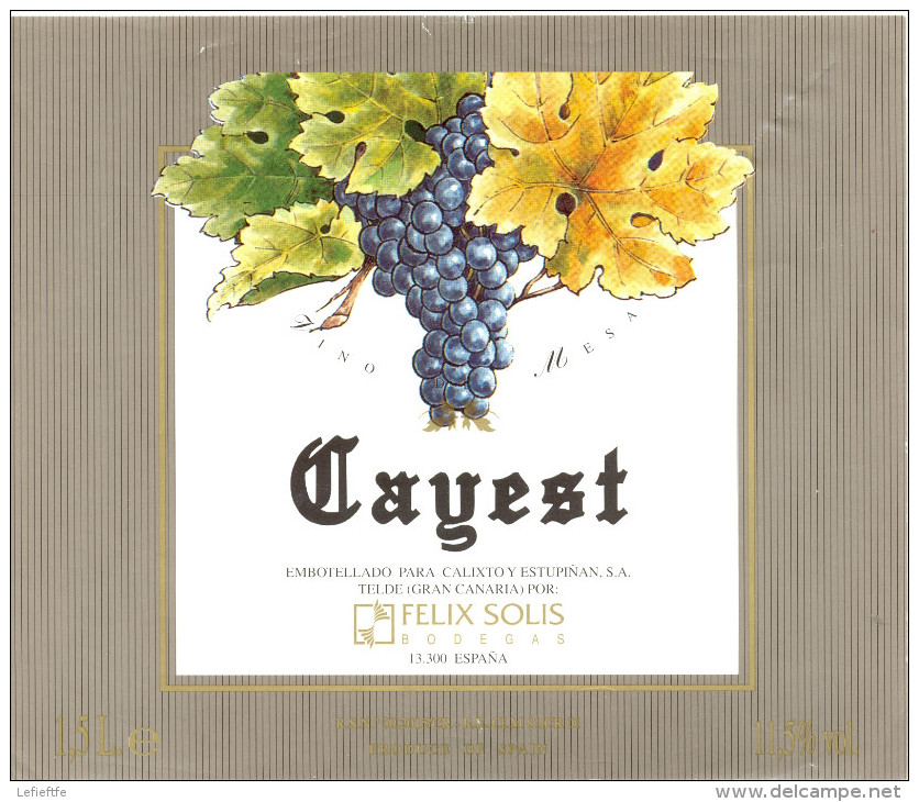 833 - Vino De Mesa - Cayest - Felix SOLIS Bodegas 13300 España - Vino Tinto