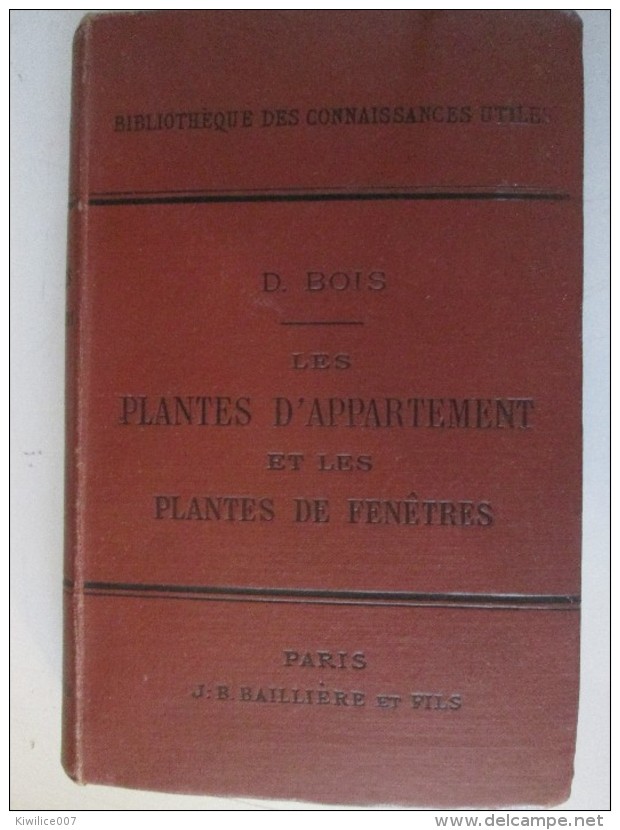 Les Plantes D Appartement  Et Les Plantes Des Fenetres    D Bois  1891 - 1801-1900