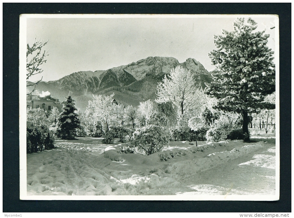 POLAND  -  Zakopane  Park  Used Postcard - Poland