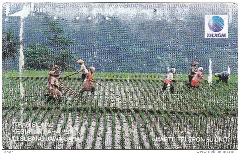 Indonesia, S210, Kegiatan Petani (Farmers Activity), Subang, 2 Scans. - Indonesië