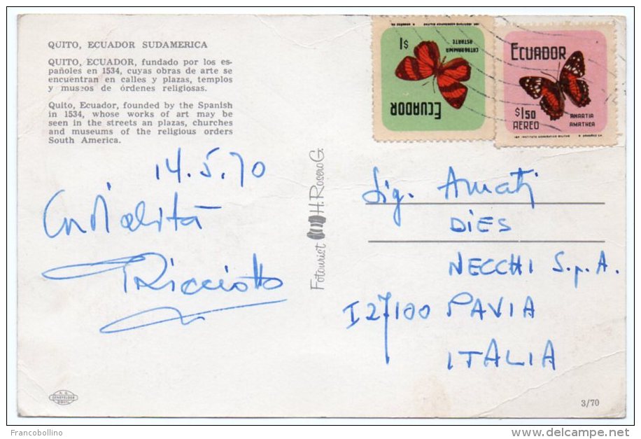 ECUADOR - QUITO / THEMATIC STAMPS-BUTTERFLY - Ecuador