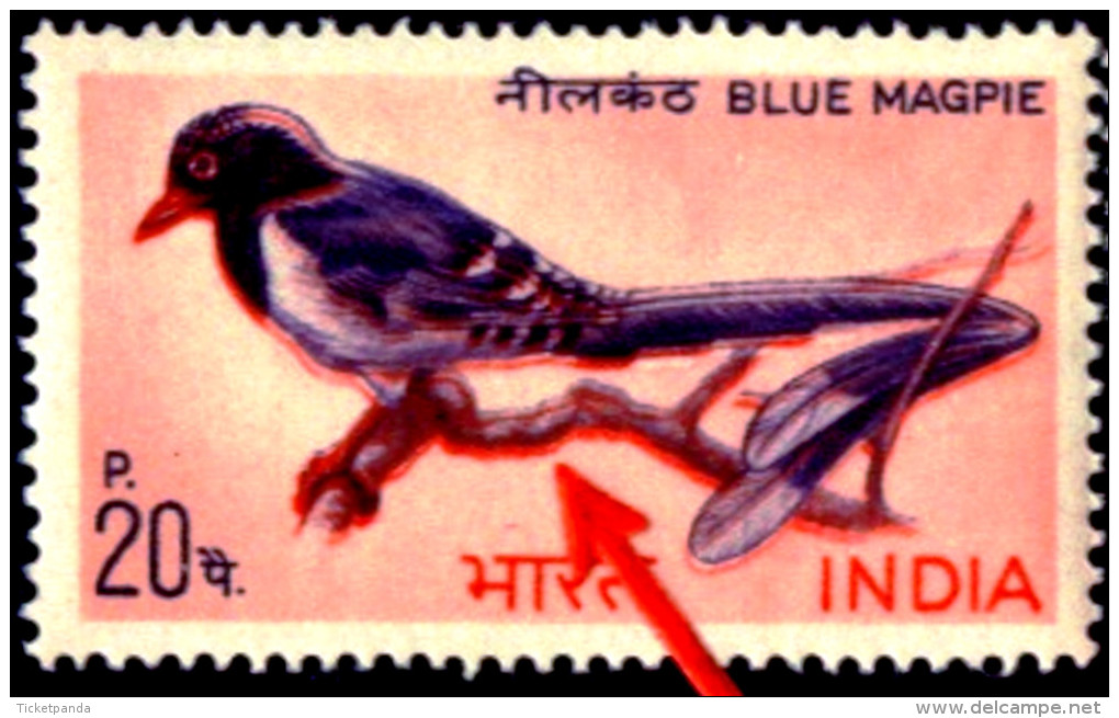 BIRDS-ERROR-BIRDS OF INDIA-FIRST SERIES-SET OF 4-INDIA-1968-MNH-TP-01 - Specht- & Bartvögel