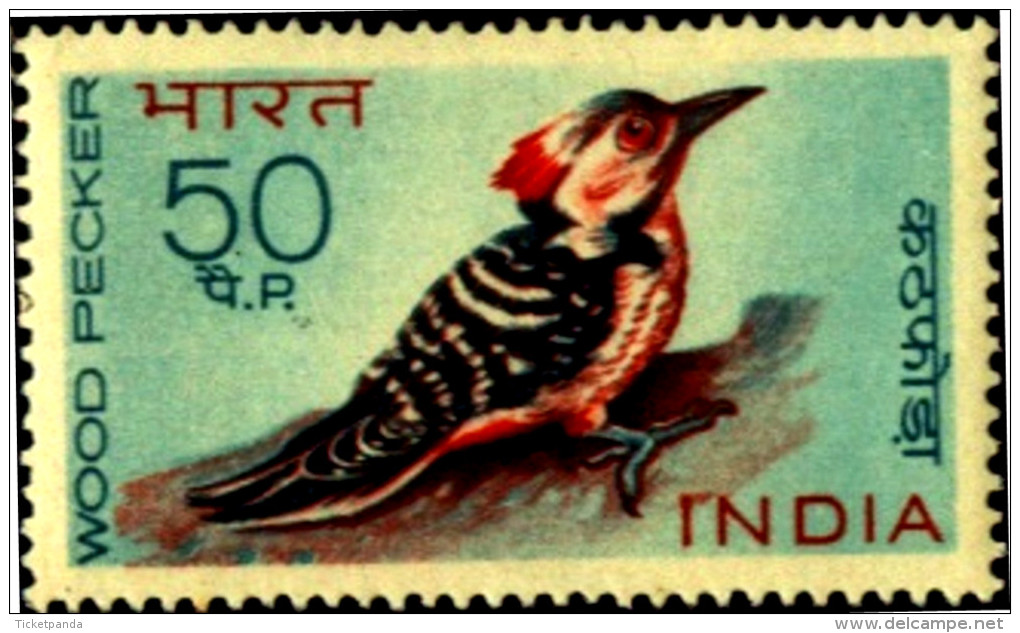 BIRDS-ERROR-BIRDS OF INDIA-FIRST SERIES-SET OF 4-INDIA-1968-MNH-TP-01 - Piciformes (pájaros Carpinteros)