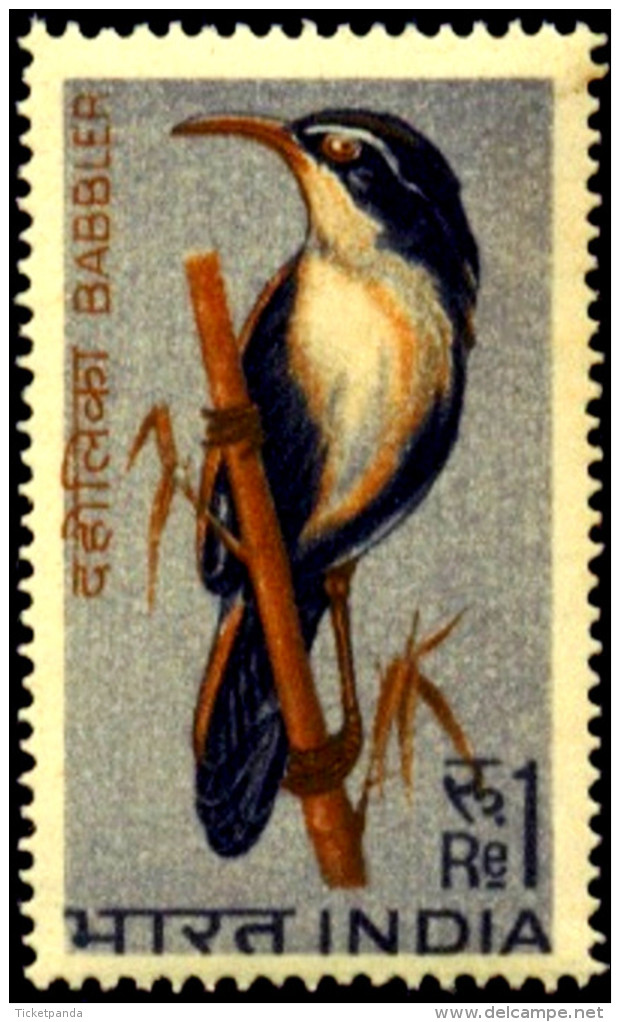 BIRDS-ERROR-BIRDS OF INDIA-FIRST SERIES-SET OF 4-INDIA-1968-MNH-TP-01 - Specht- & Bartvögel