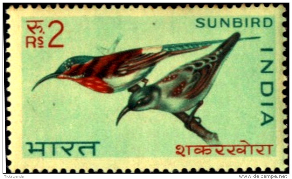 BIRDS-ERROR-BIRDS OF INDIA-FIRST SERIES-SET OF 4-INDIA-1968-MNH-TP-01 - Pics & Grimpeurs