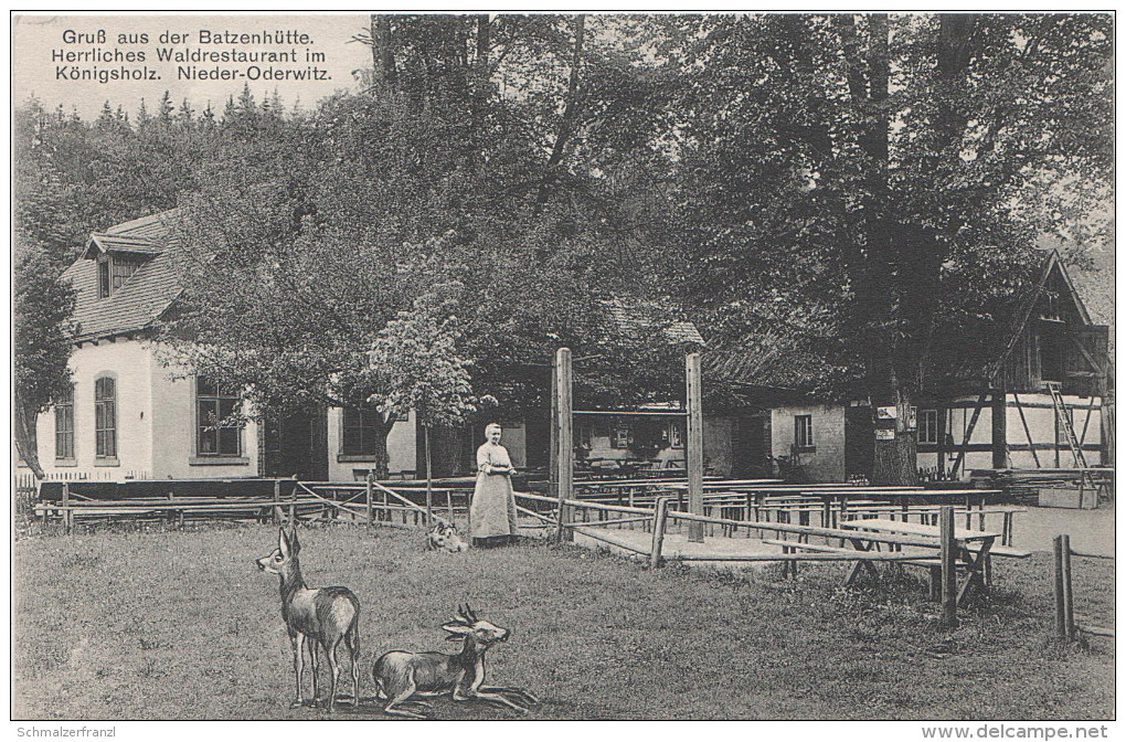 AK Gasthaus Baude Batzenhütte Bei Niederoderwitz Oderwitz Eibau Zittau Leutersdorf Spitzkunnersdorf Ruppersdorf Herrnhut - Herrnhut