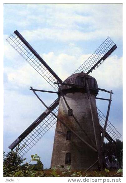 ERTVELDE ~ Evergem (O.Vl.) - Molen/moulin - De Stenen Molen Voor De Restauratie Van 1983. Historische Opname Uit 1976. - Evergem