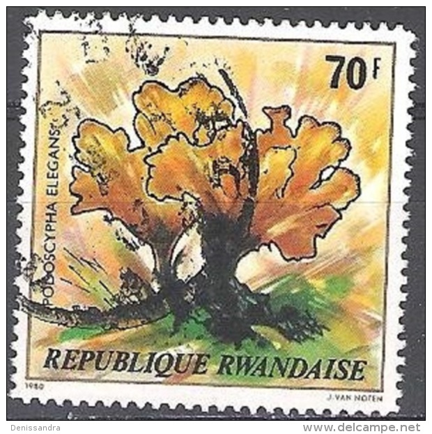 Rwanda 1980 Michel 1057 O Cote (2005) 2.50 Euro Fleur Podoscypha Elegans Cachet Rond - Oblitérés