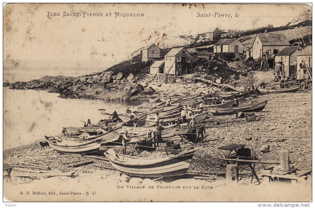 Saint-Pierre - Un Village De Pécheurs Sur La Côte - Saint-Pierre-et-Miquelon