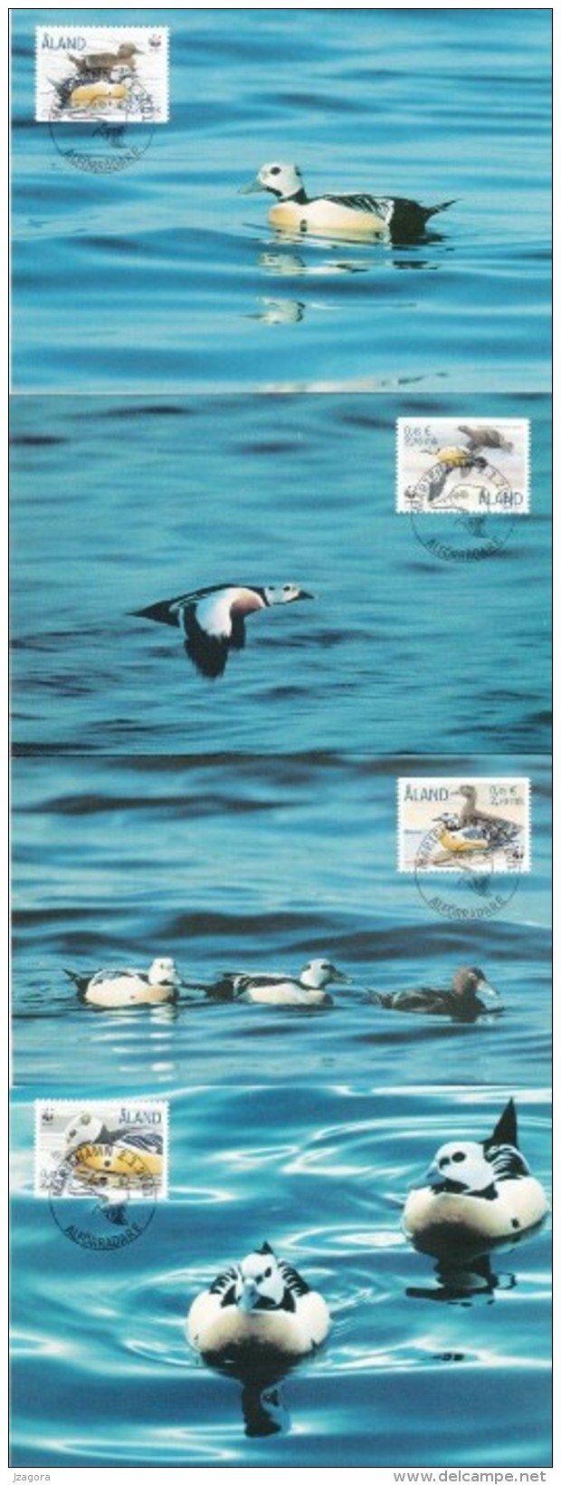 TAILED DUCK SCHECKENTE CANARD WATER BIRDS Les Oiseaux Aquatiques  ALAND FINLAND 2001 MI 183 - 186  MAXI MAXIMUM CARDS - Anatre