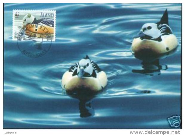 TAILED DUCK SCHECKENTE CANARD WATER BIRDS Les Oiseaux Aquatiques  ALAND FINLAND 2001 MI 183 - 186  MAXI MAXIMUM CARDS - Anatre