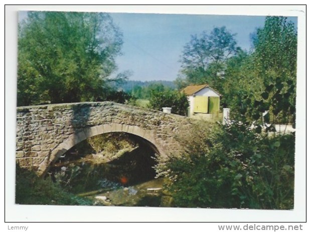 64 - LASSEUBE - LE VIEUX PONT - Lasseube