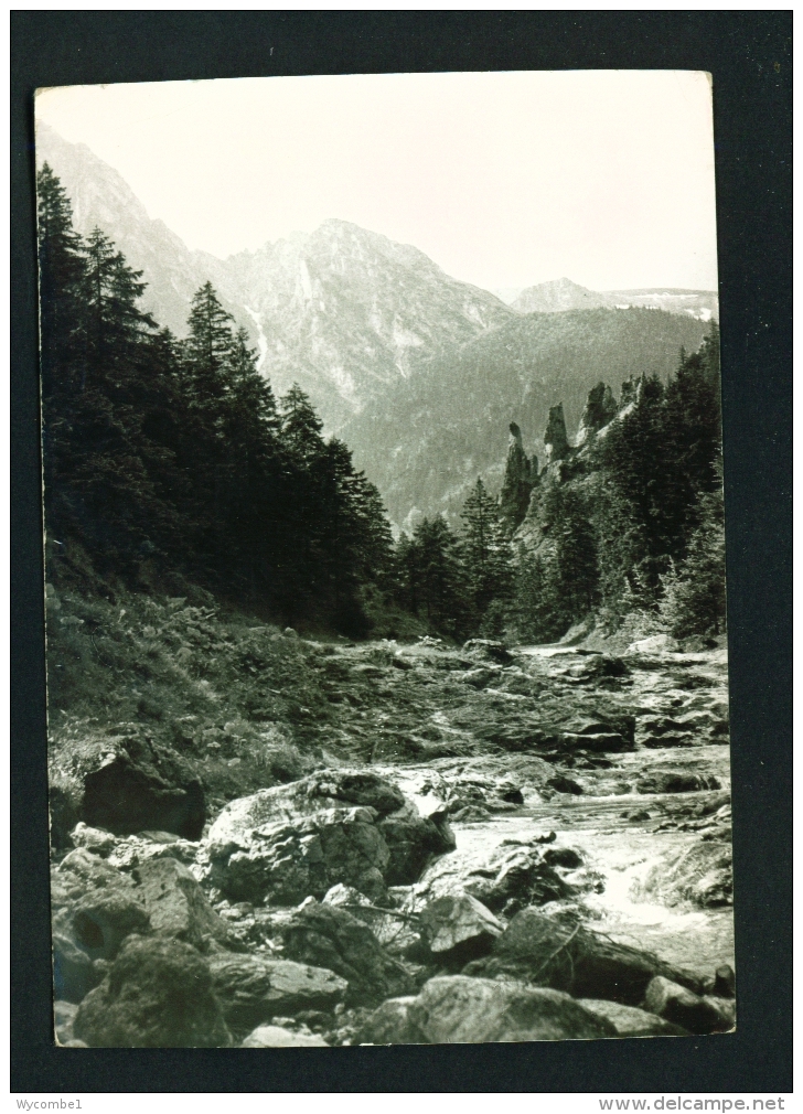 POLAND  -  Tatry Zachodnie  Used Postcard - Poland