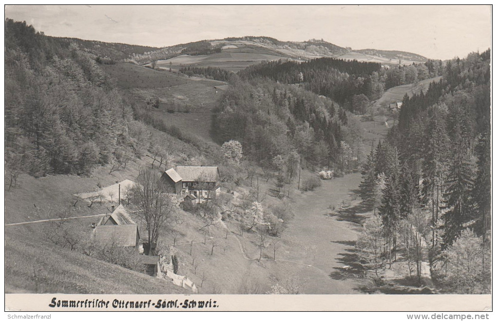 AK Sächsische Schweiz Ottendorf Bei Kirnitzschtal Hinterhermsdorf Lichtenhain Räumicht Schandau Sebnitz Saupsdorf - Hohenstein-Ernstthal