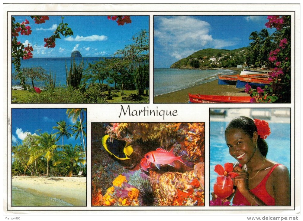 MARTINIQUE   VUES      (VIAGGIATA) - Autres & Non Classés